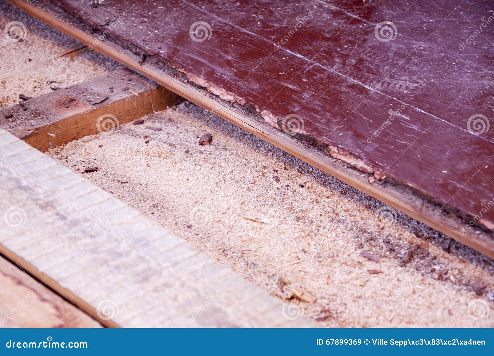 Sawdust Insulation Under Old Floor Boards Stock Image Image Of