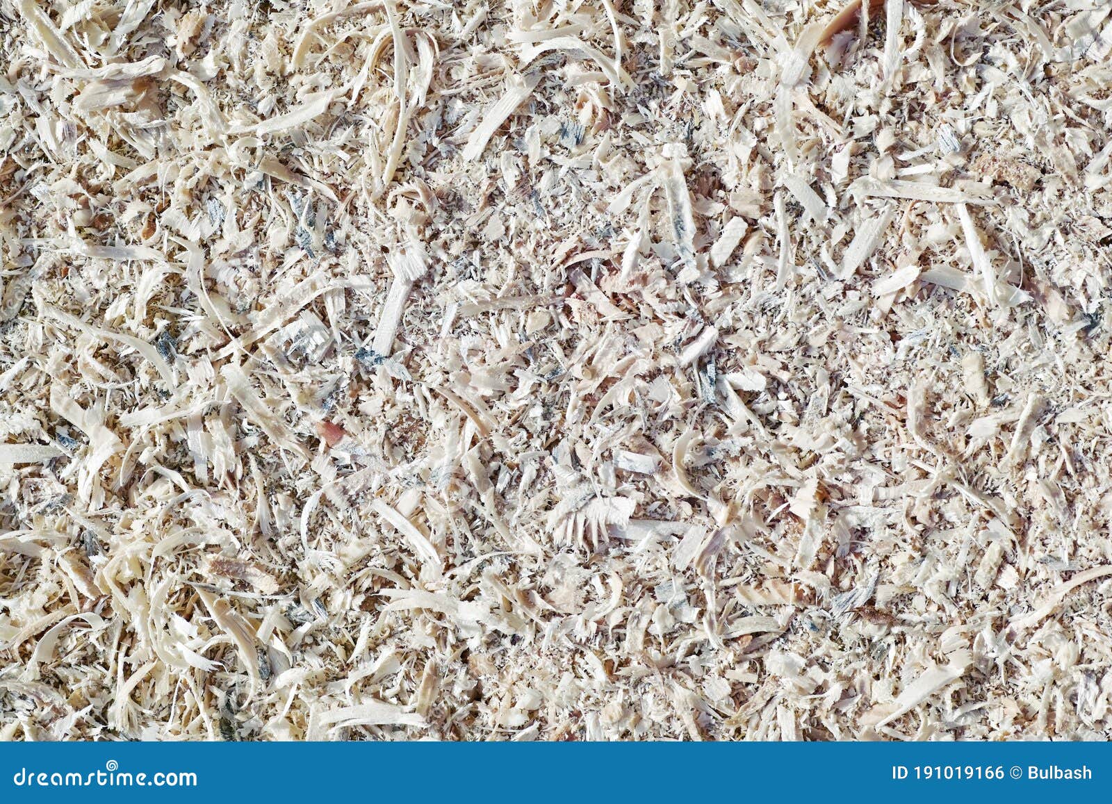 Sawdust is a Waste of Main Production Stock Photo Image of handiwork
