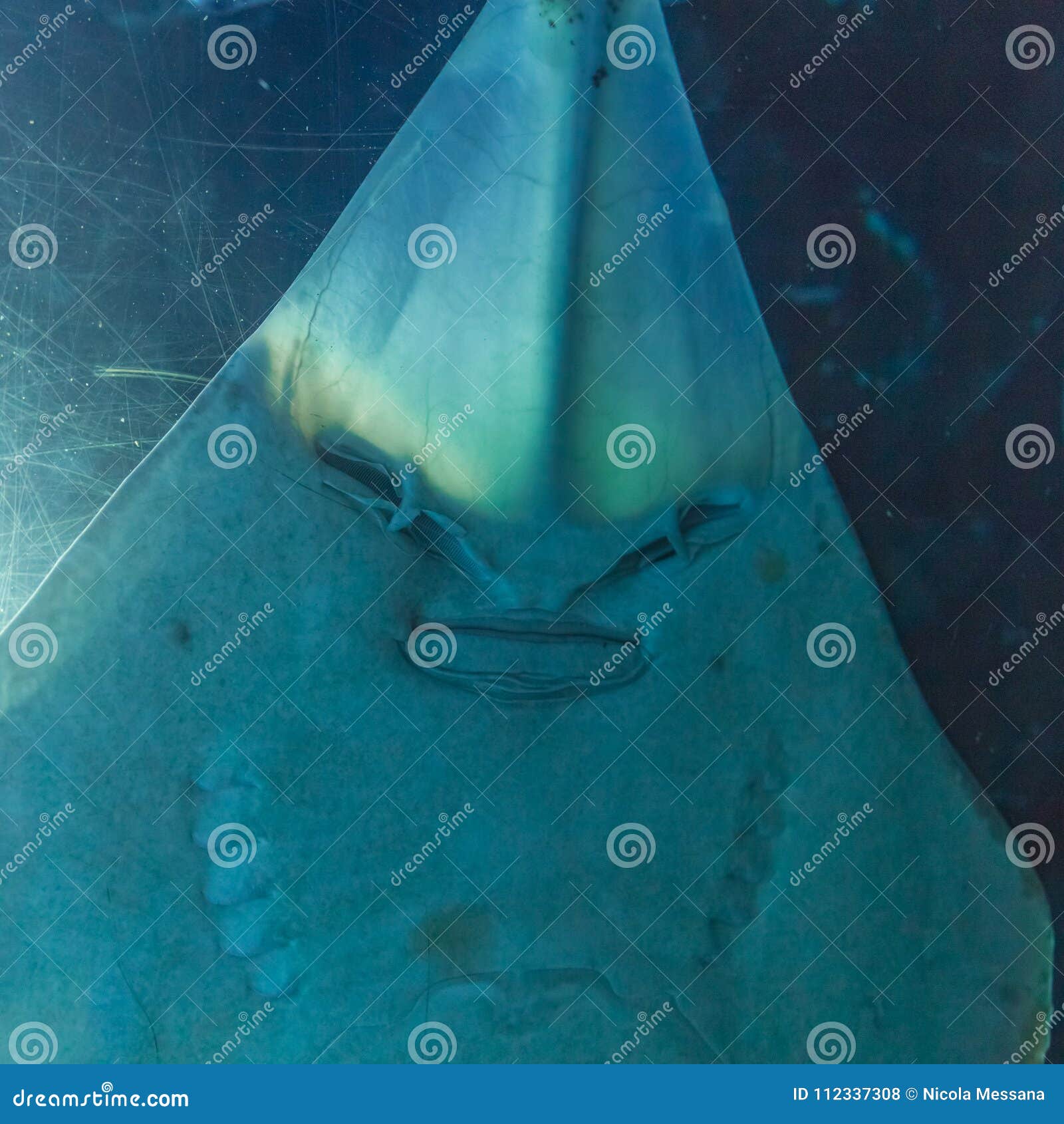 My Image 27