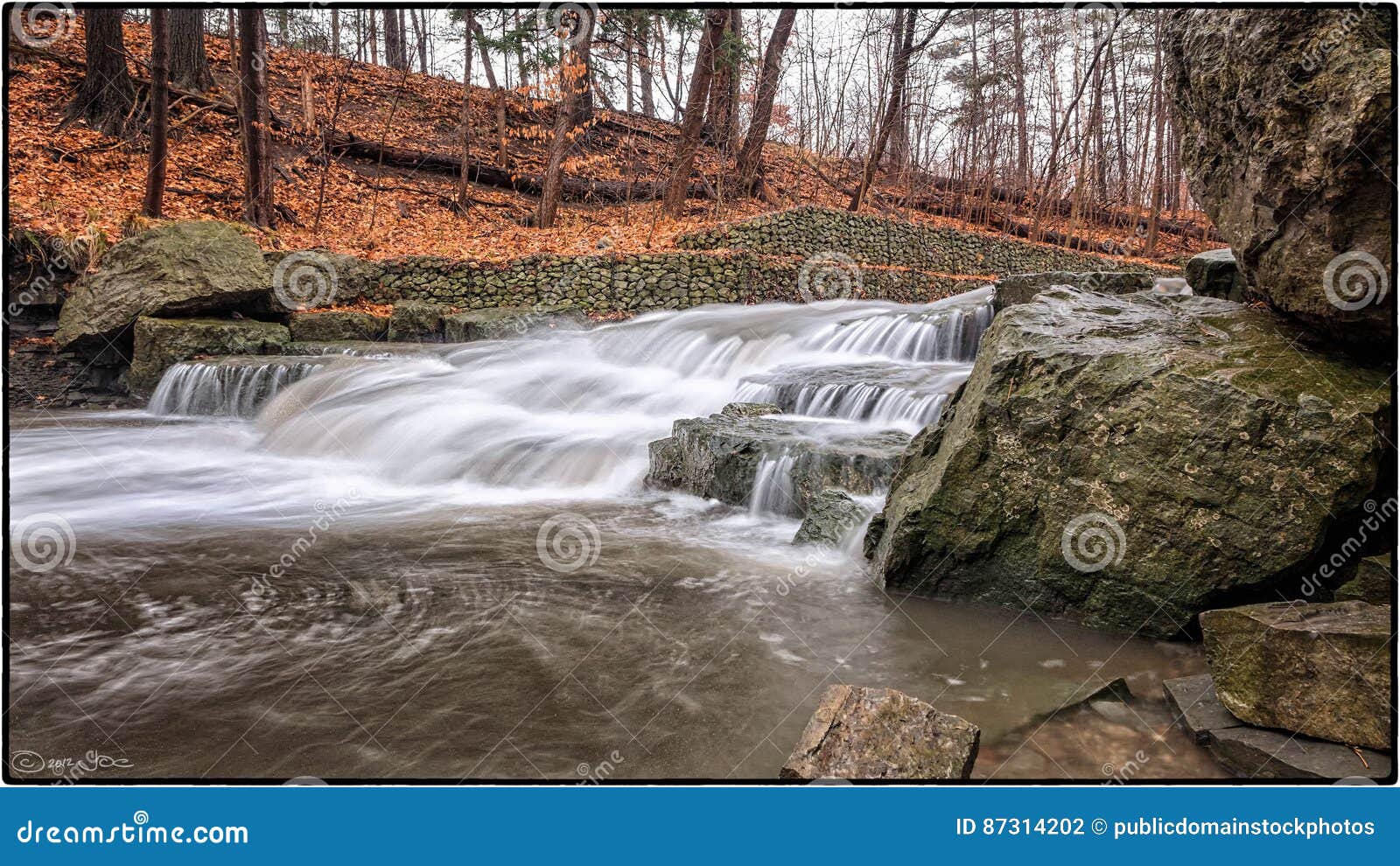 Sawmill Creek, Mississauga Picture. Image 87314202