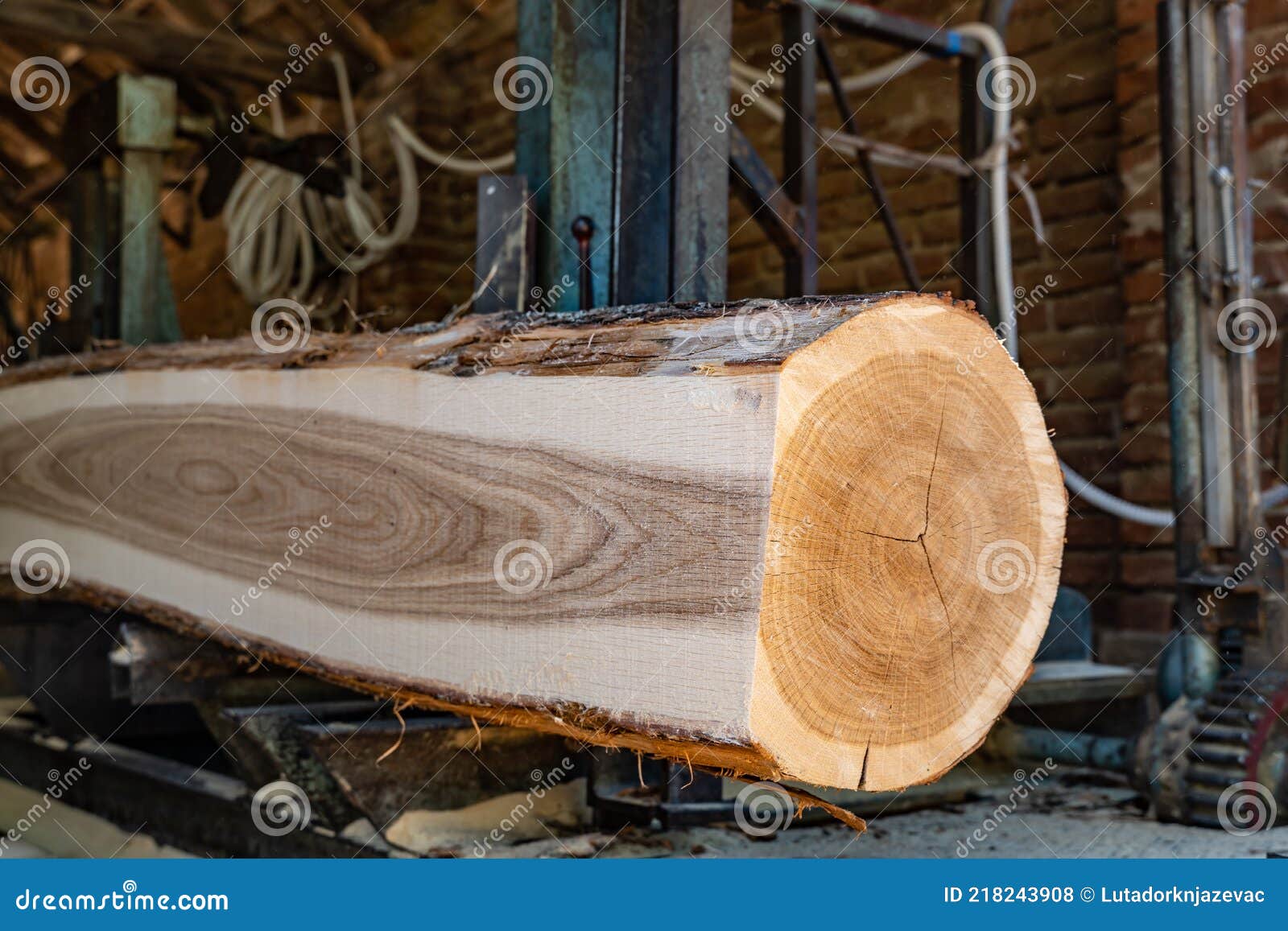 Cutting Model Lumber Nude Pretween Girl