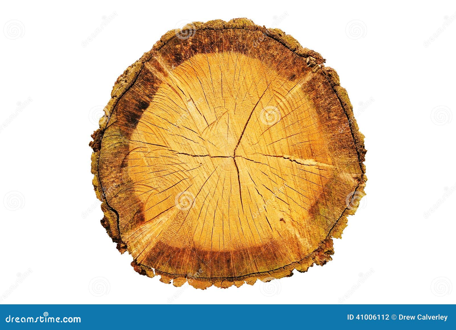Wooden Circle With A Split Cut Of The Log Stock Photo, Picture and Royalty  Free Image. Image 11874051.