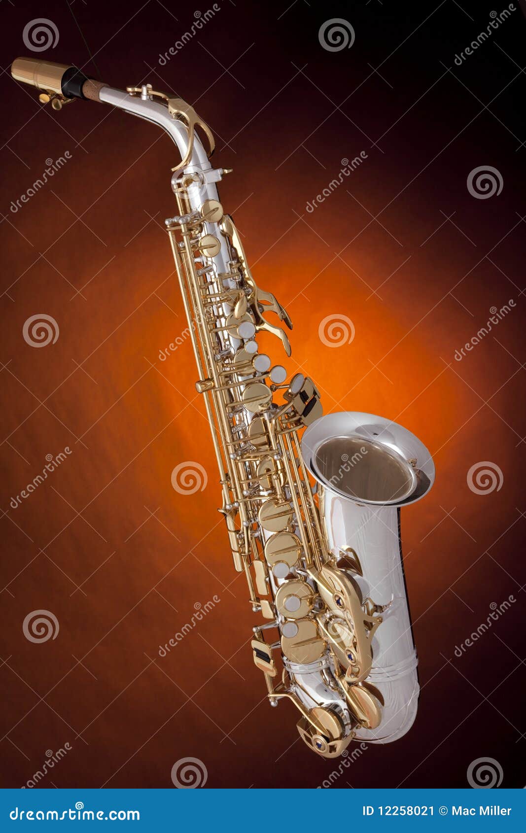 Saxophone Alto Silver Gold stock image. Image of saxes 12258021