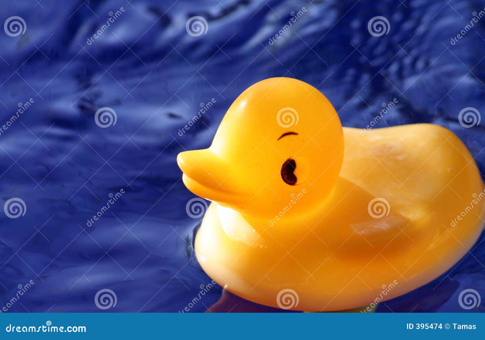 Say Duck stock photo. Image of holiday, travel, bathroom - 395474