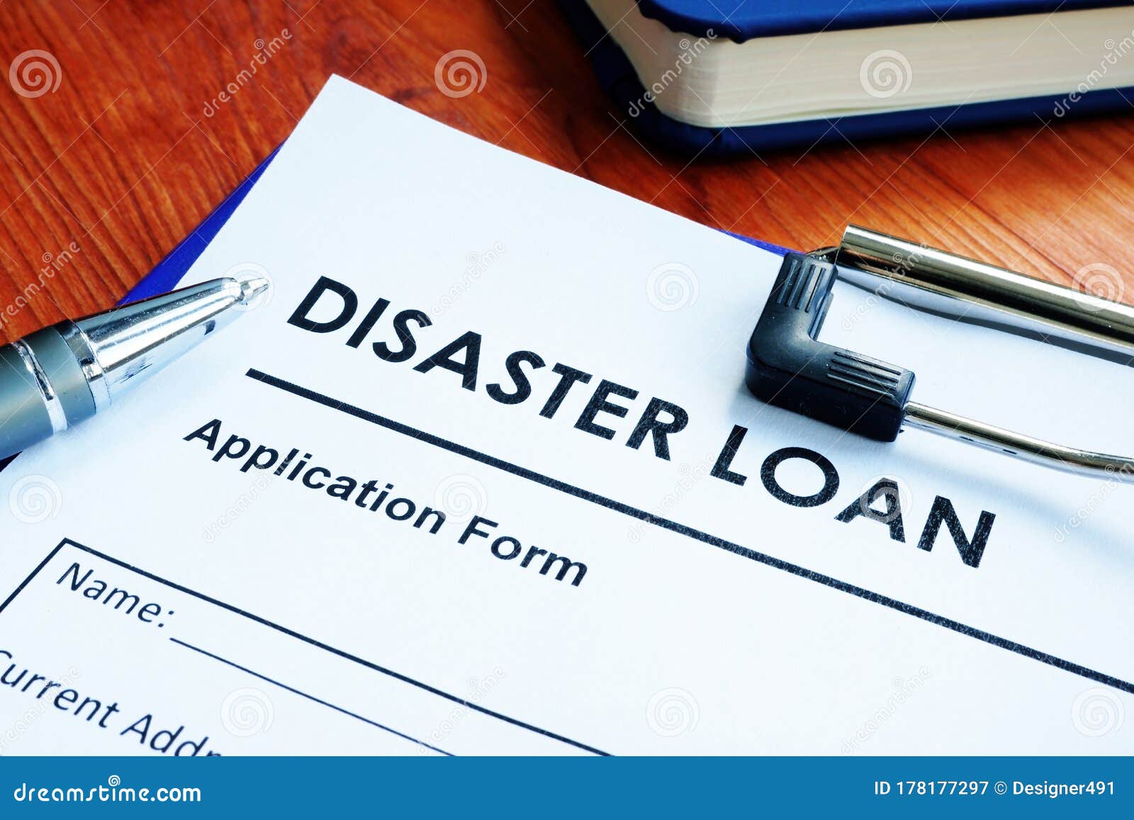 sba disaster loan application form on the surface