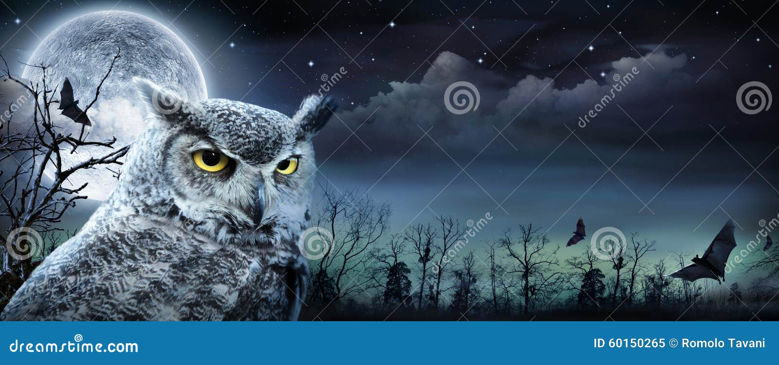 100,246 Photos de Hibou - Photos de stock gratuites et libres de droits de  Dreamstime