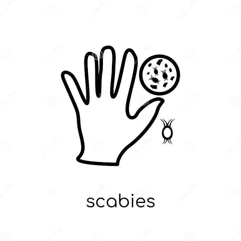 Scabies Icon. Trendy Modern Flat Linear Vector Scabies Icon on W Stock ...