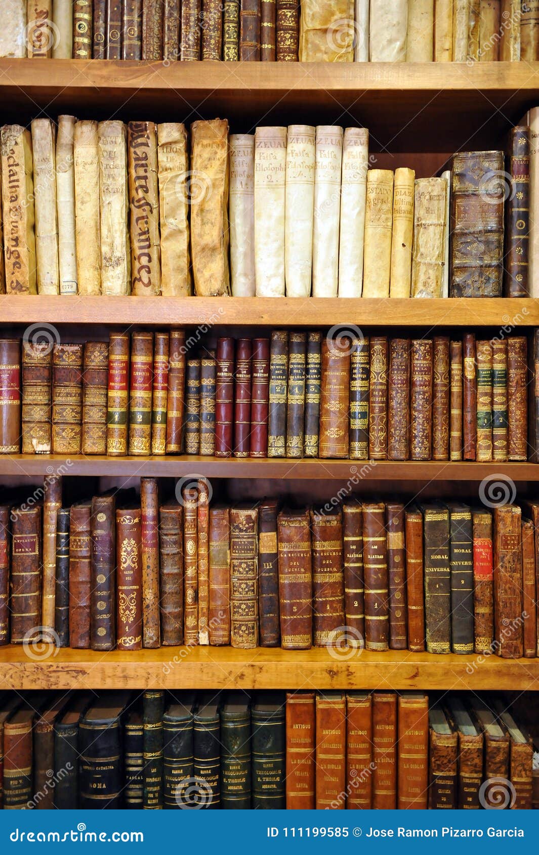 Scaffali Per Libri Dentro Una Libreria, Libri Antichi, Biblioteca Immagine  Editoriale - Immagine di letteratura, accumulazione: 111199585