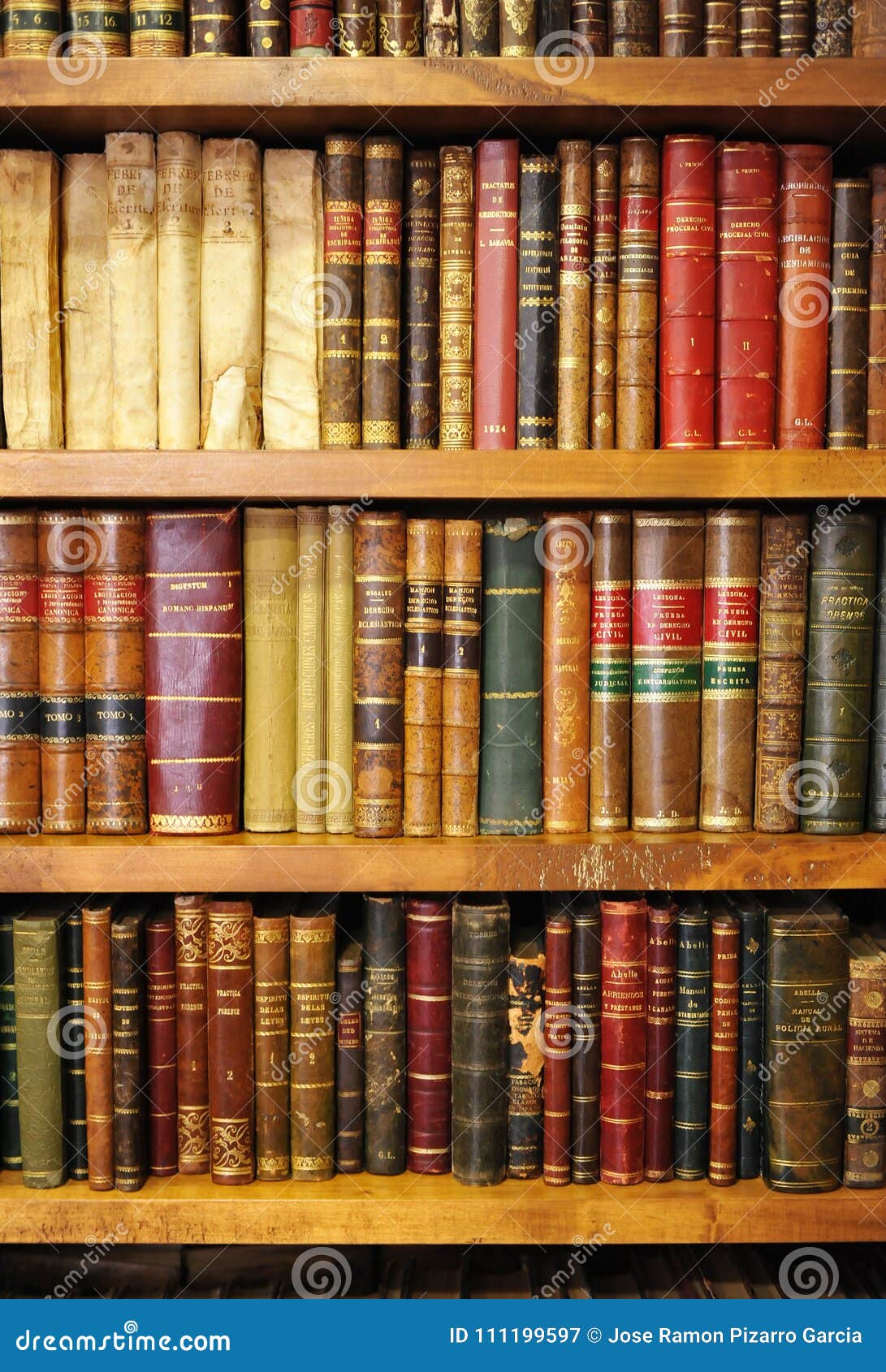 Scaffali Per Libri Dentro Una Libreria, Libri Antichi, Biblioteca  Fotografia Editoriale - Immagine di colto, libro: 111199597