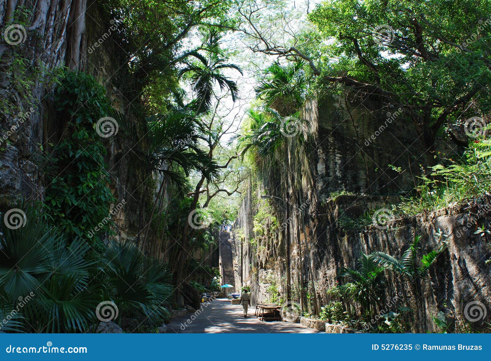 Scala della regina - il luogo storico famoso a Nassau, il capitale delle Bahamas.