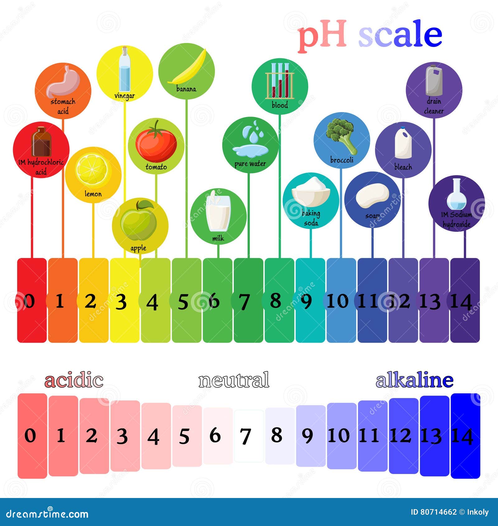 Scala Di PH Grafico a Colori Della Cartina Al Tornasole