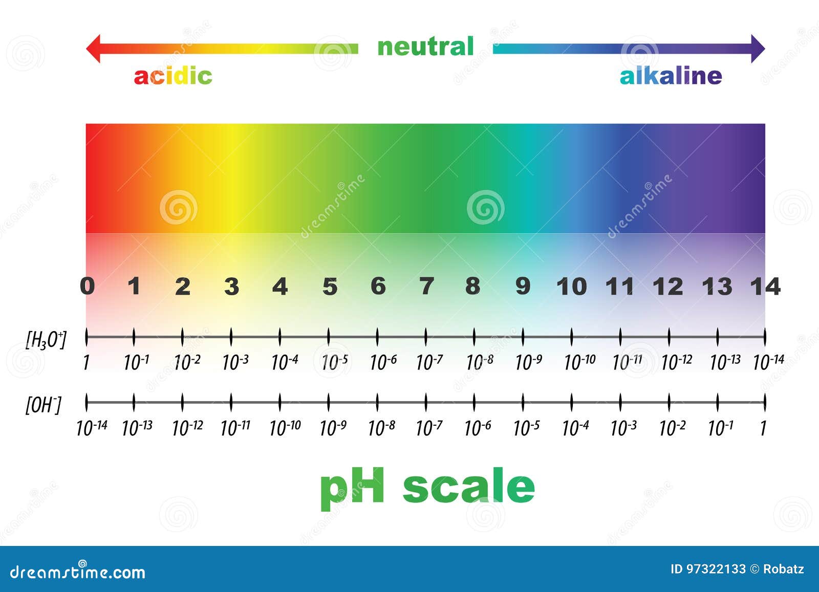 PH Scale. Litmus Paper Color Chart. Vector Illustration | CartoonDealer