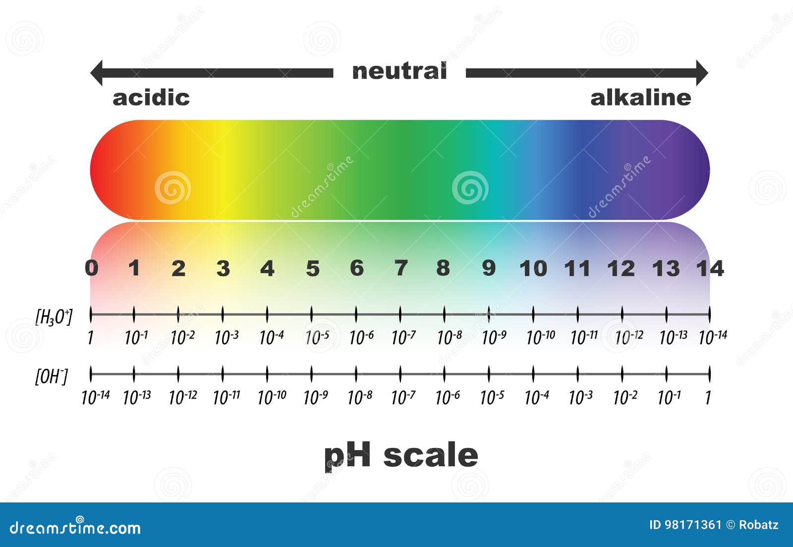 PH Scale. Litmus Paper Color Chart. Vector Illustration | CartoonDealer