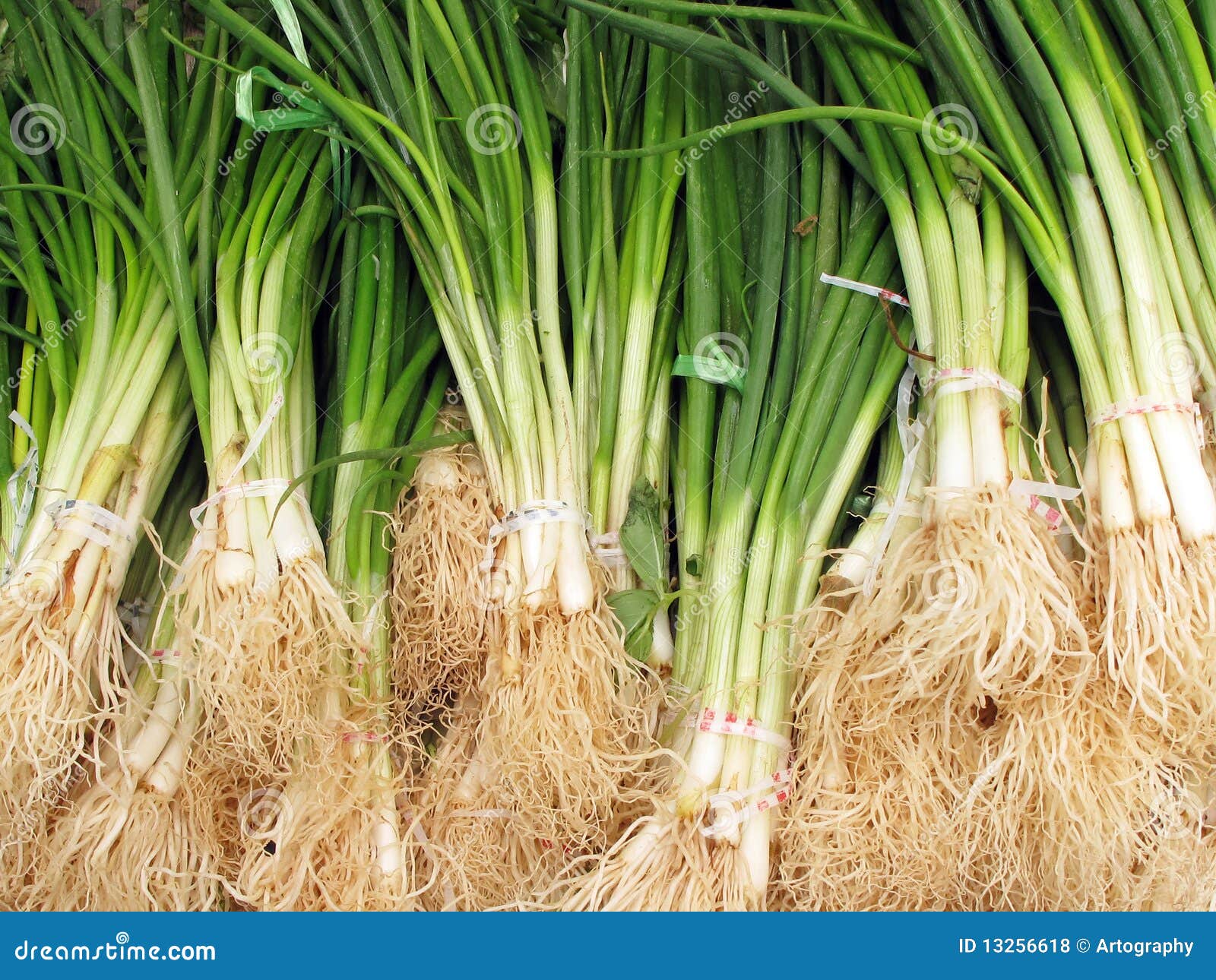 Manojos de scallions en un mercado vegetal