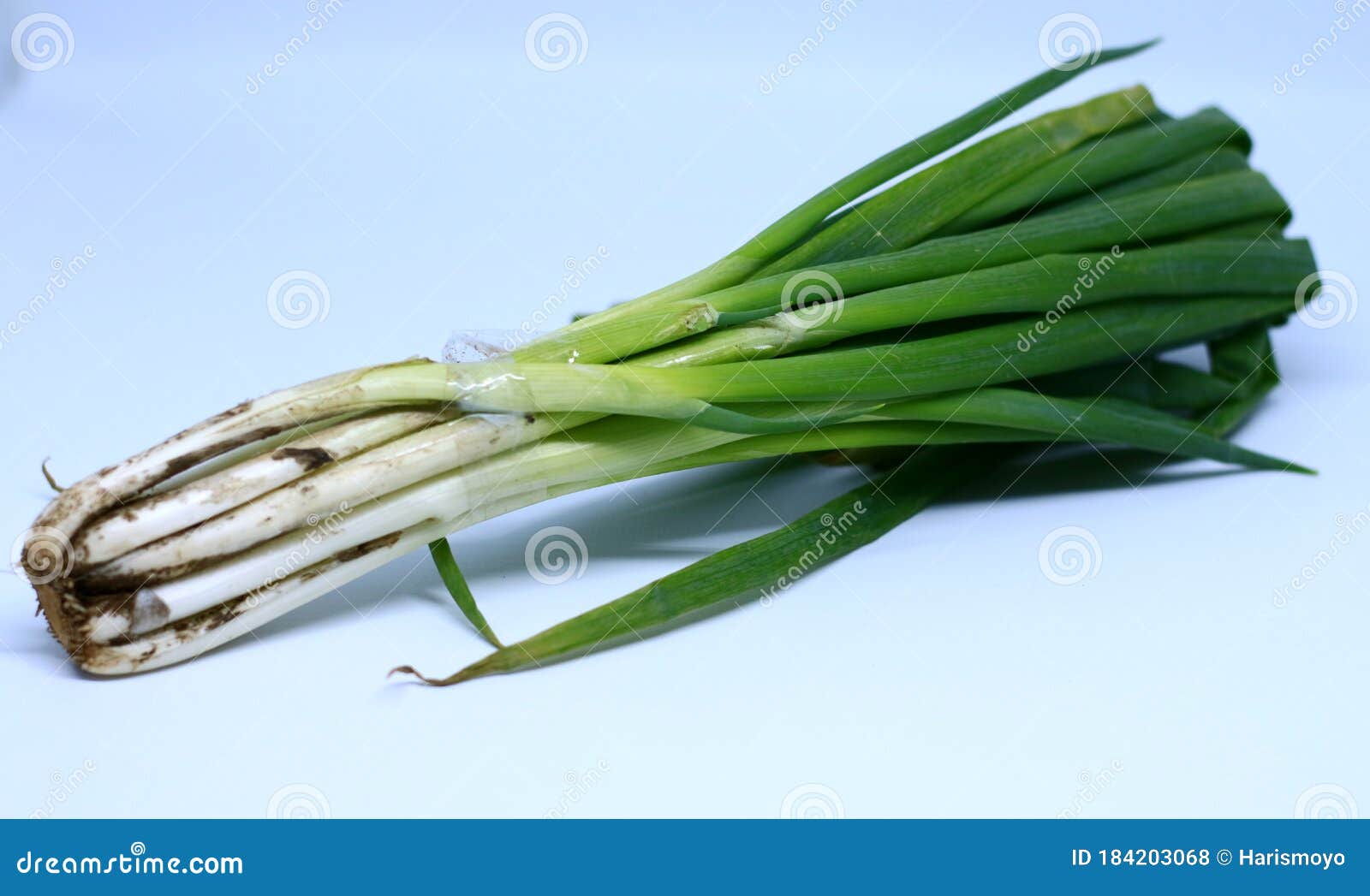 scallion or daun bawang