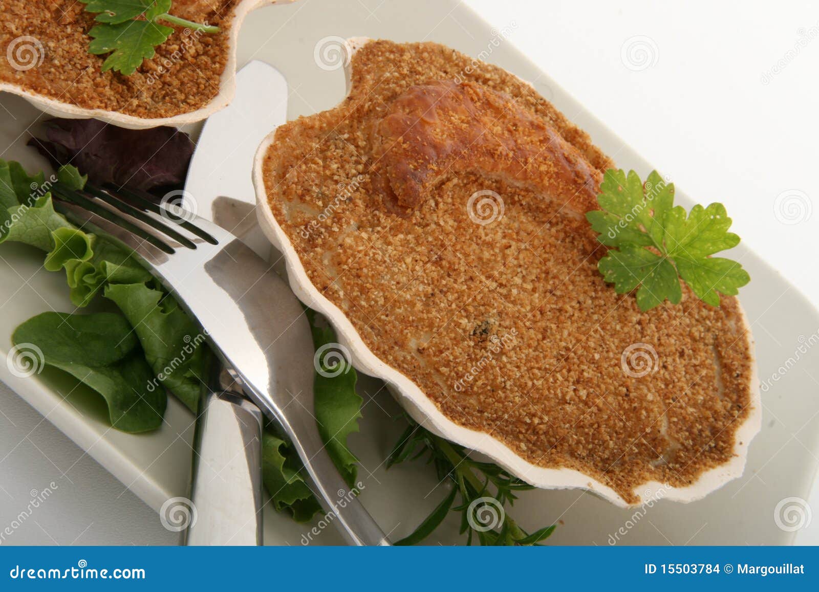 Scallop stock photo. Image of nutrition, fish, gastronomy 15503784