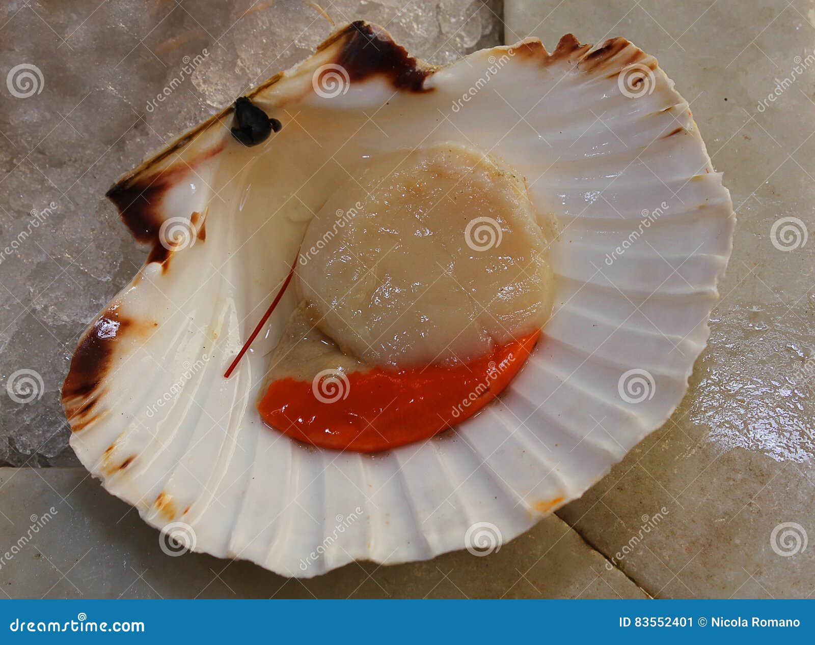 Scallop on ice stock image. Image of marine, ocean, seafood - 83552401