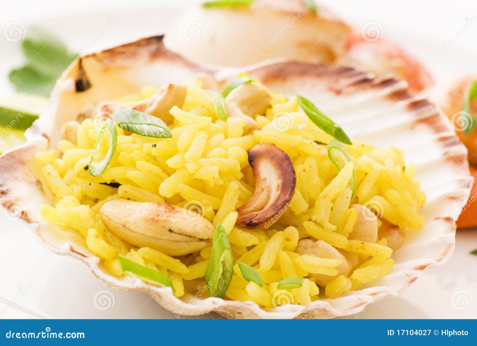 Scallop with Rice stock image. Image of light, conch 17104027