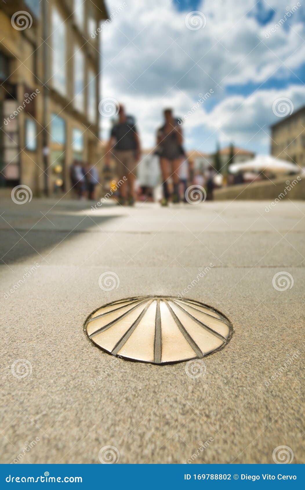 scallop shell iconic  of camino de santiago in spain