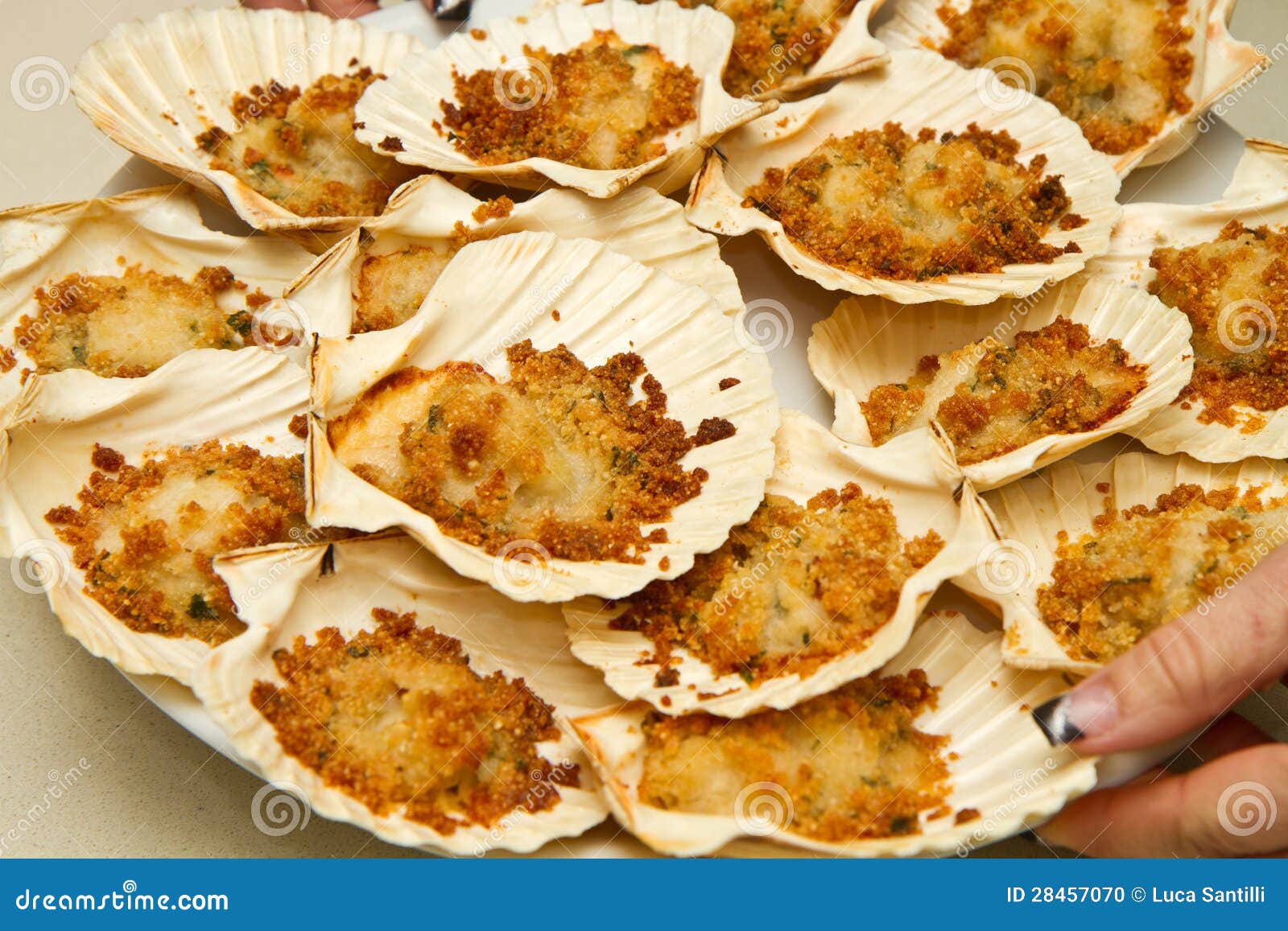 Scallops au gratin stock photo. Image of conchigia, nutrition 28457070