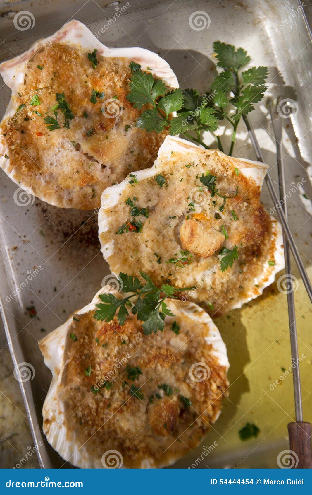 Scallops au gratin stock photo. Image of grill, background 54444454