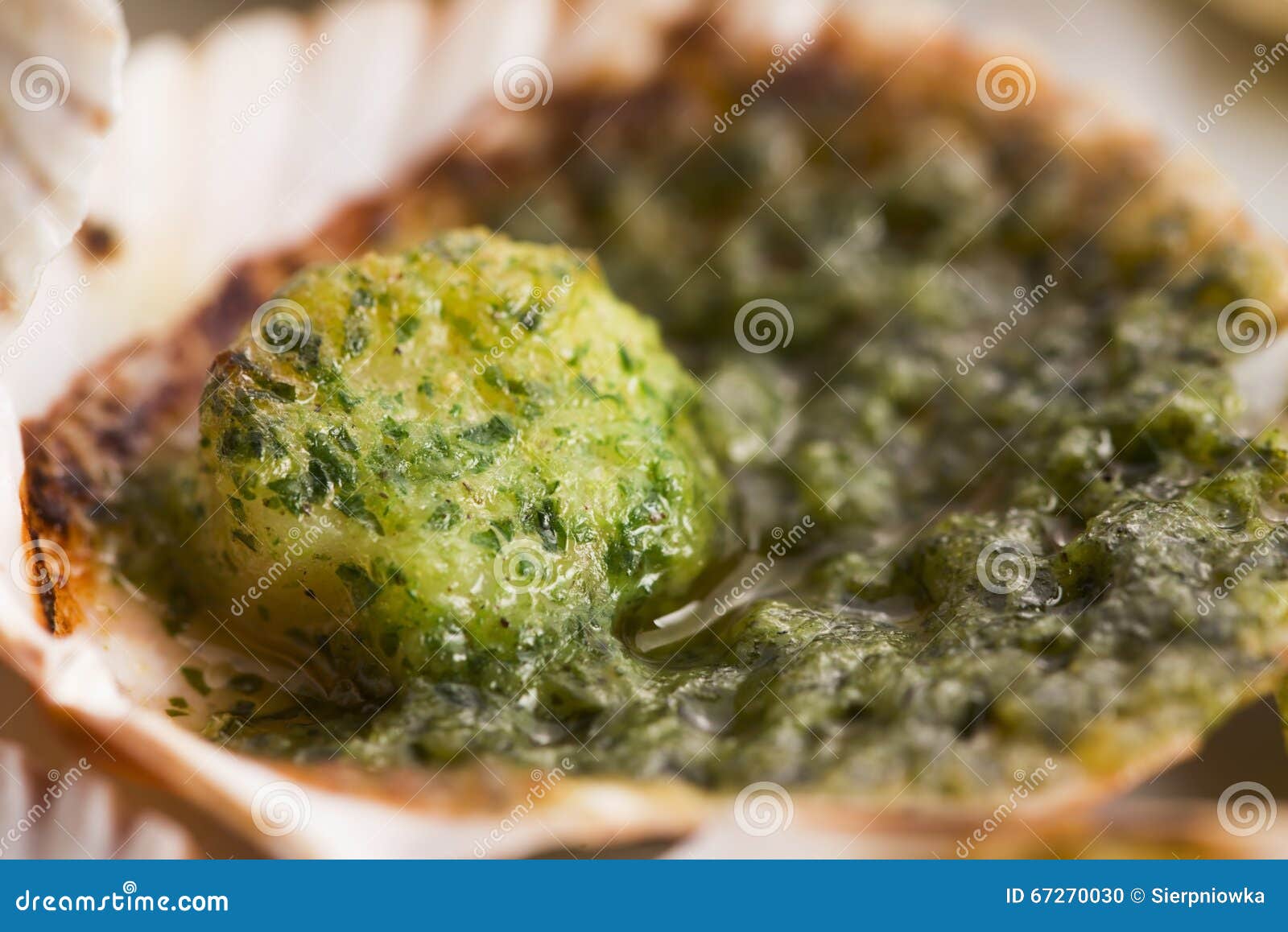 Scallops stock photo. Image of edible, fish, macro, cooking 67270030