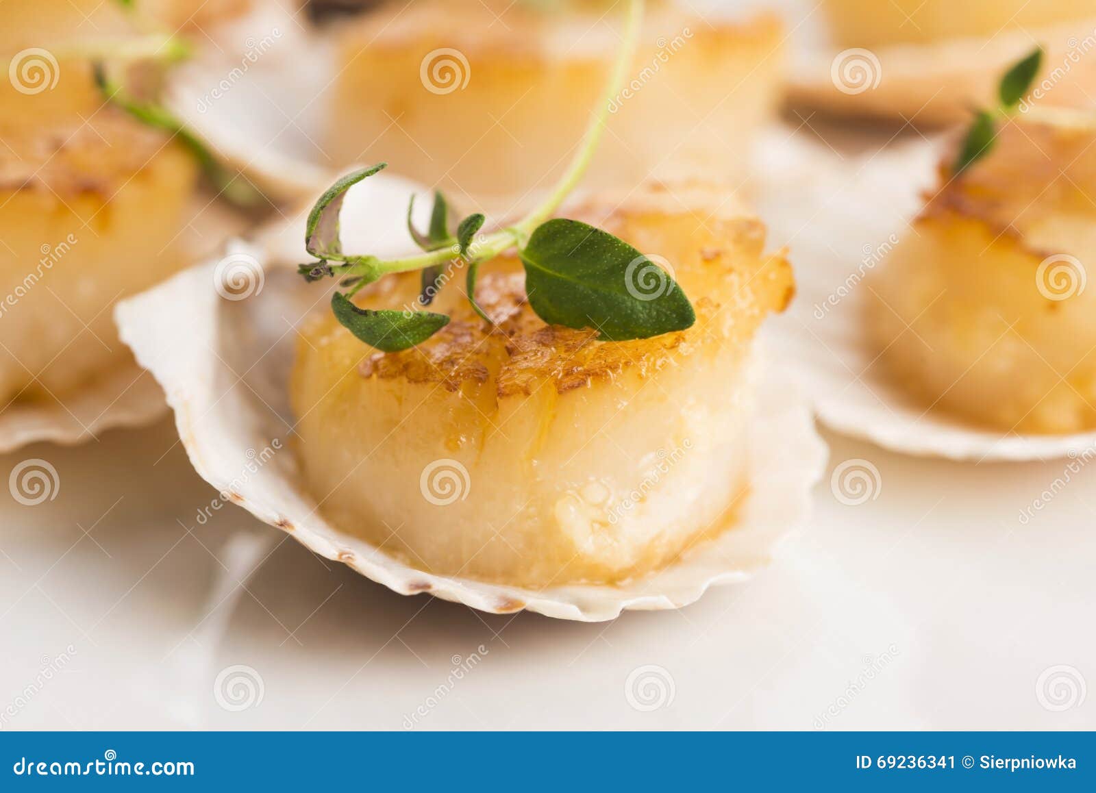 Scallops stock image. Image of background, delicious 69236341