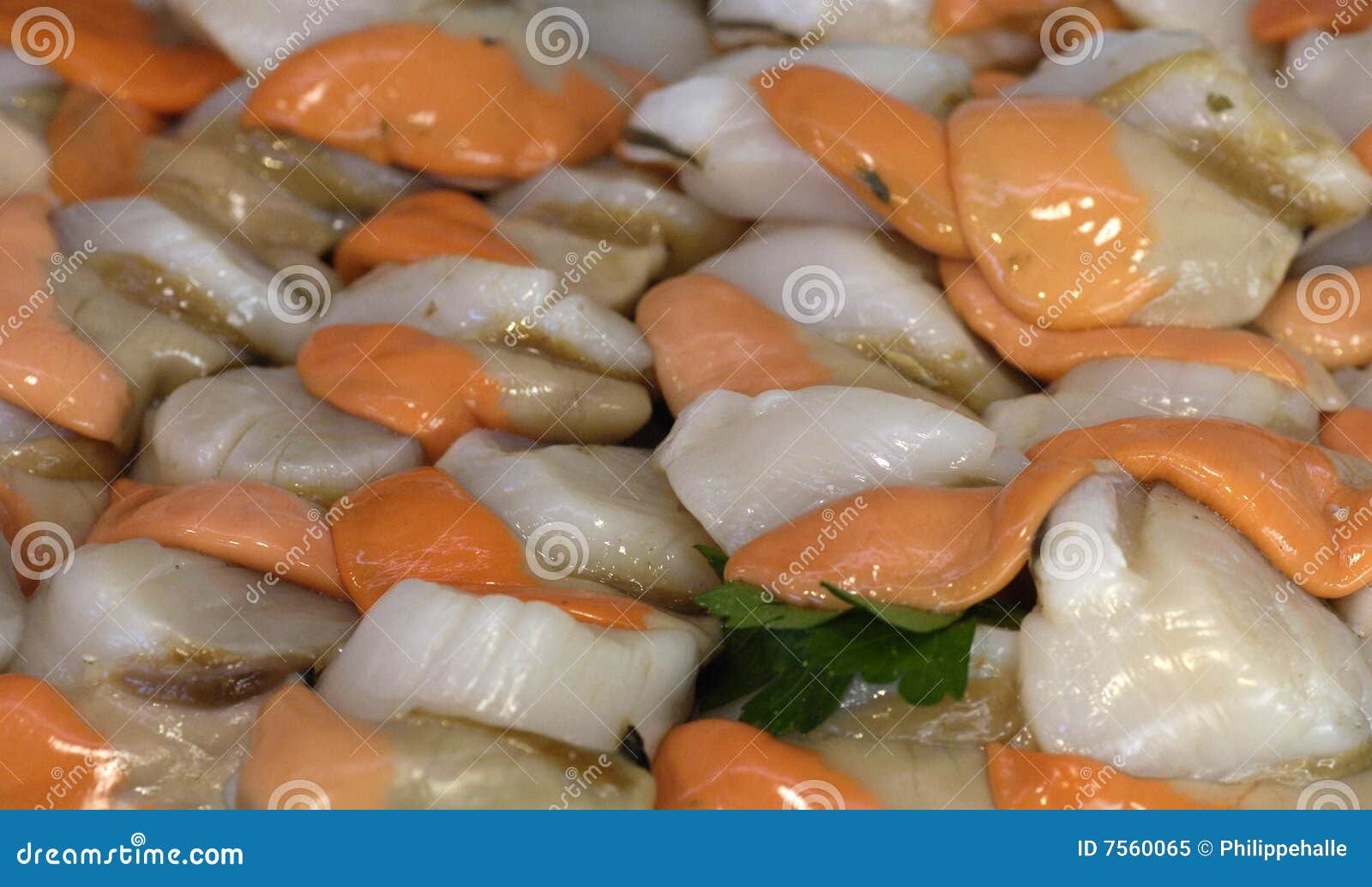 Scallops at the market stock image. Image of oyster, seashell 7560065