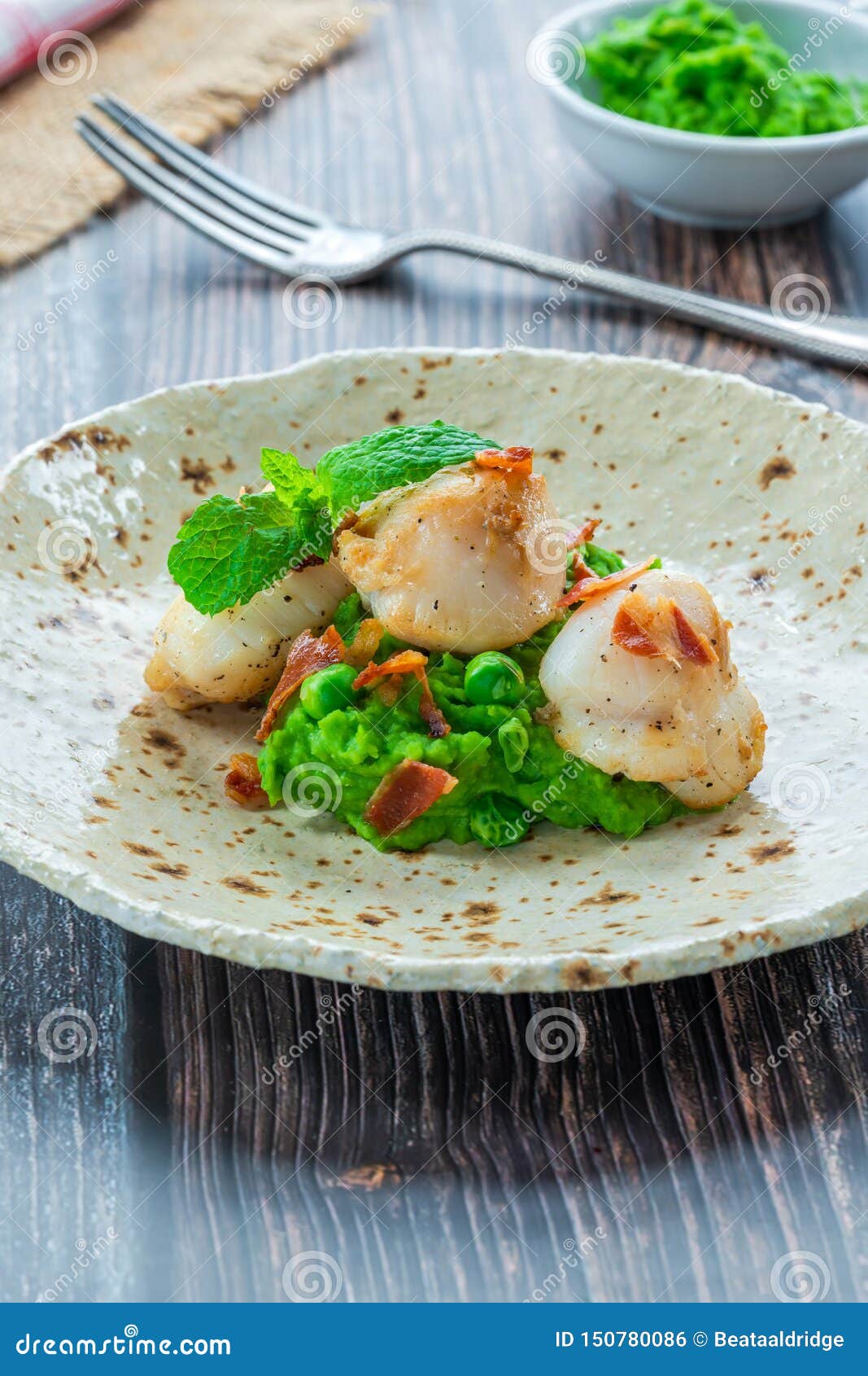 Scallops with minted peas stock photo. Image of mint 150780086