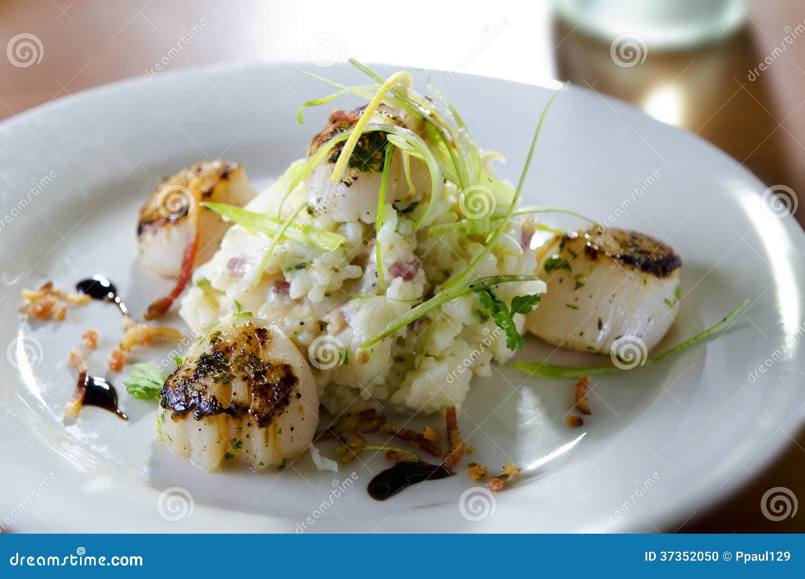 Scallops over Risotto stock photo. Image of risotto, scallops 37352050
