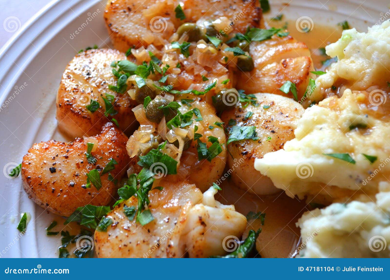 Scallops stock photo. Image of dinner, parsley, meal 47181104