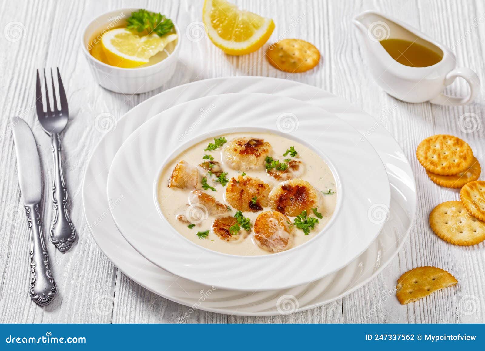 Scallops with White Wine Cream Sauce in Bowl Stock Photo Image of seafood, delicious 247337562