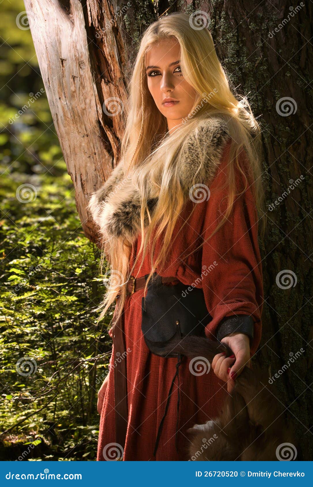 Scandinavian Girl with Fur Skins Stock Photo - Image of legend, north ...