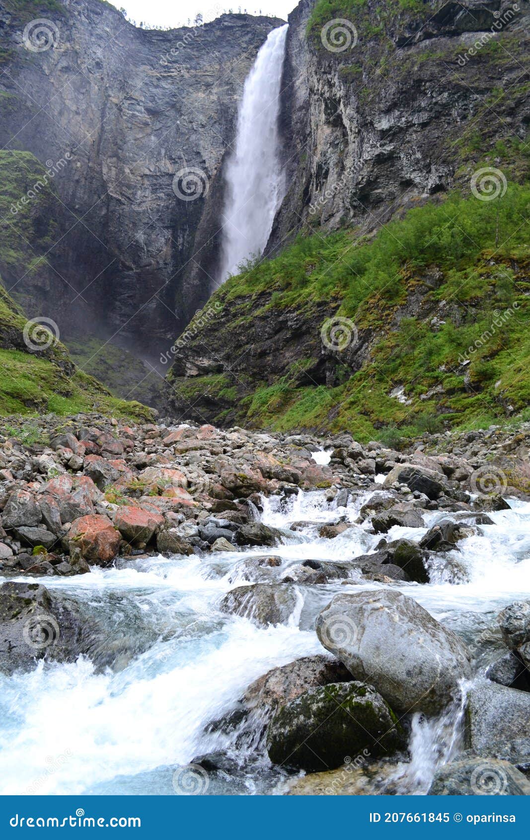 My Image 14