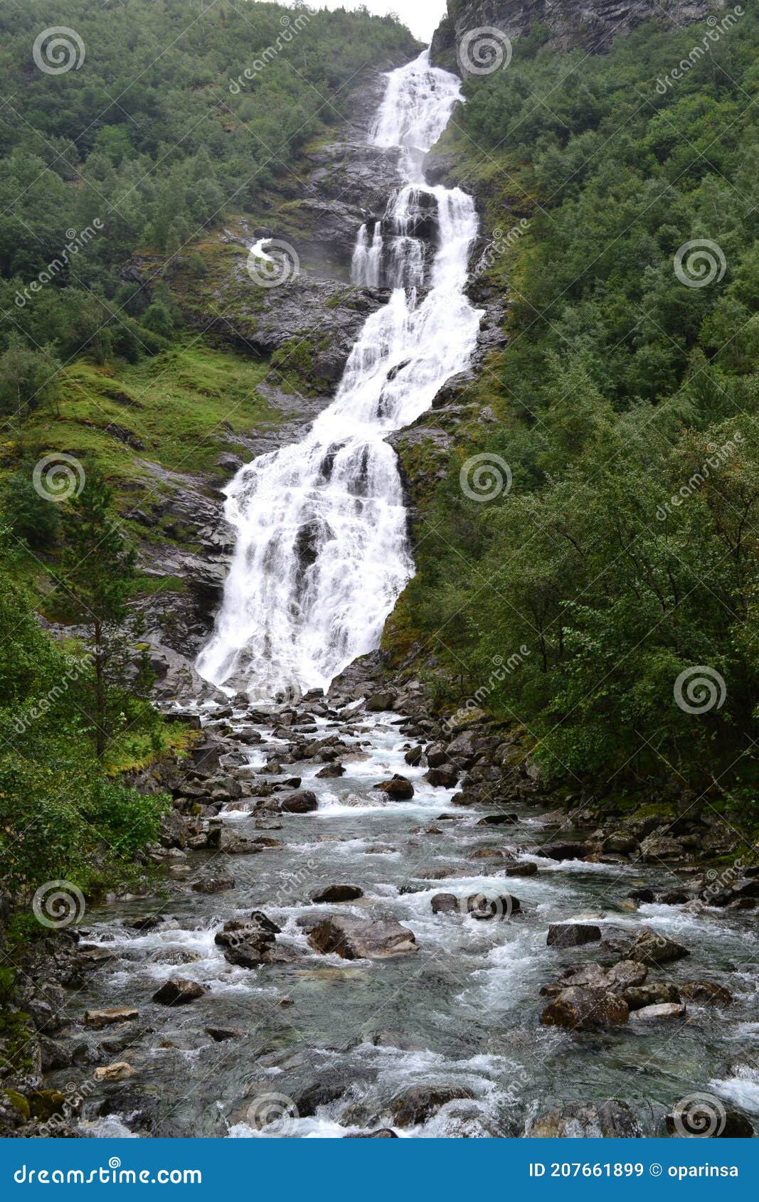 My Image 25
