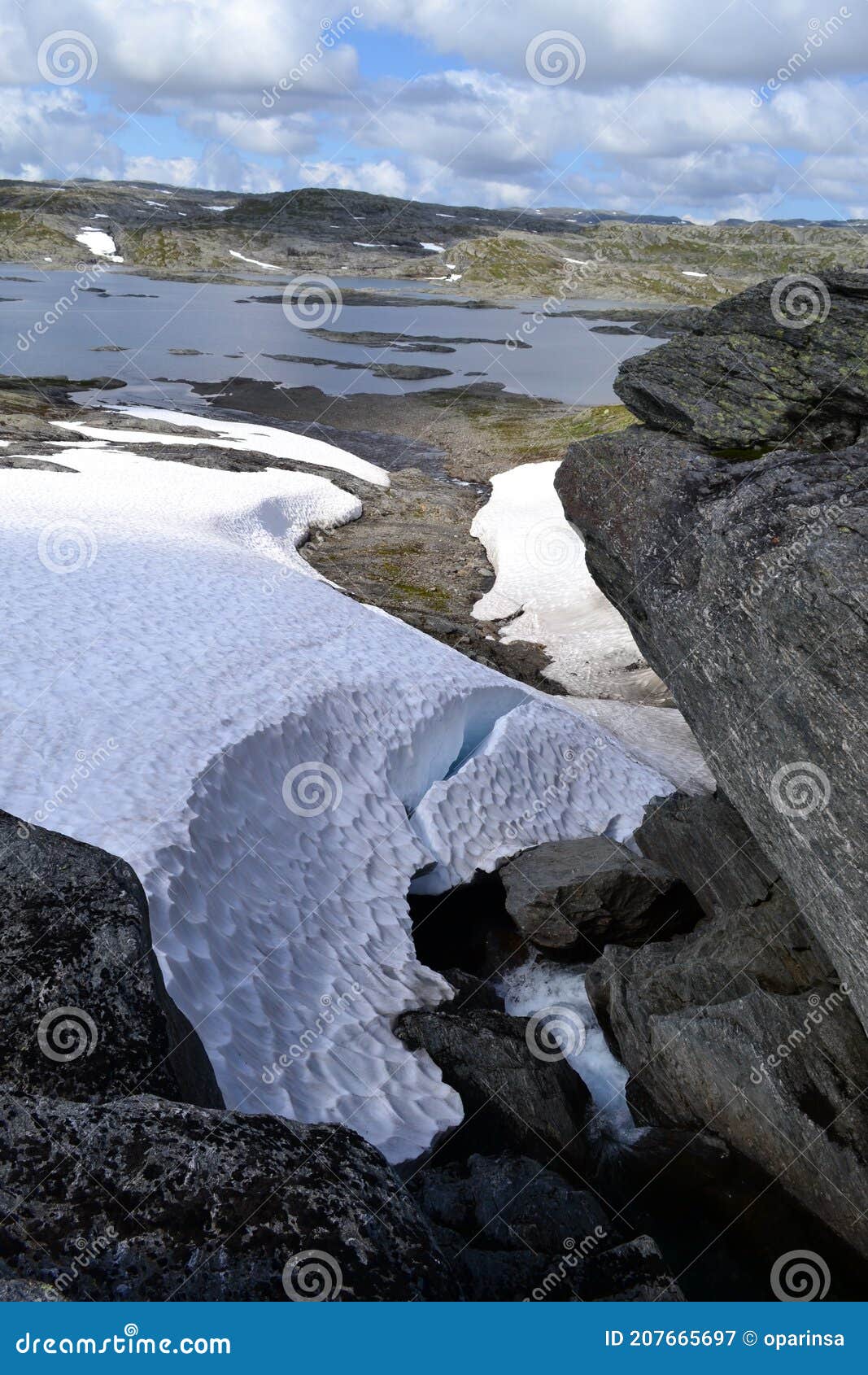 My Image 7