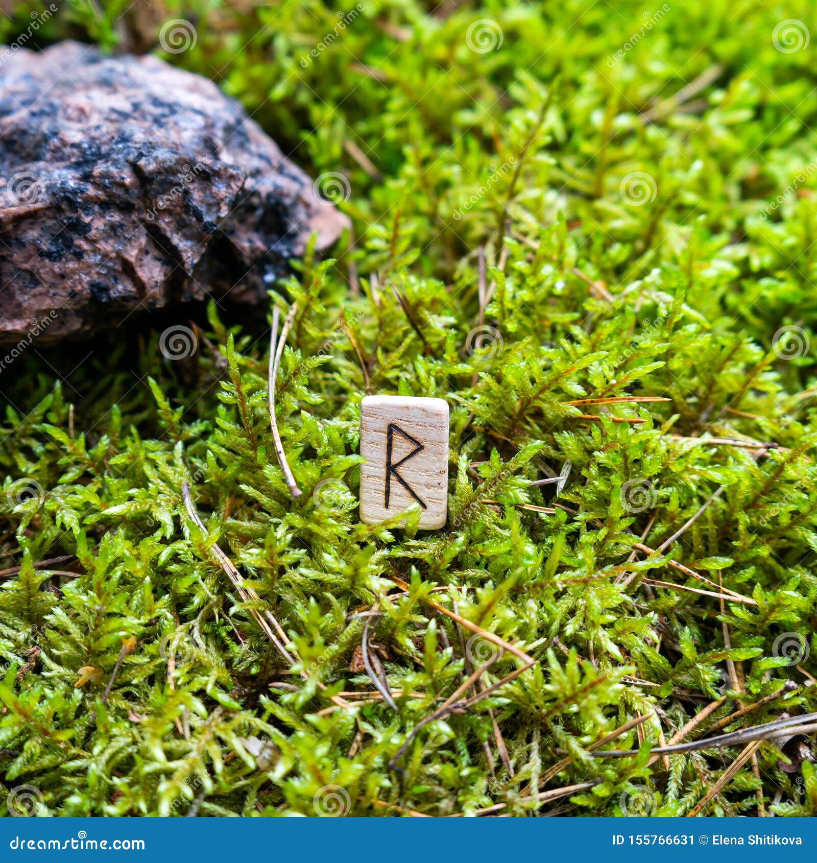 scandinavian rune raido, harbinger of travel, on wet moss.