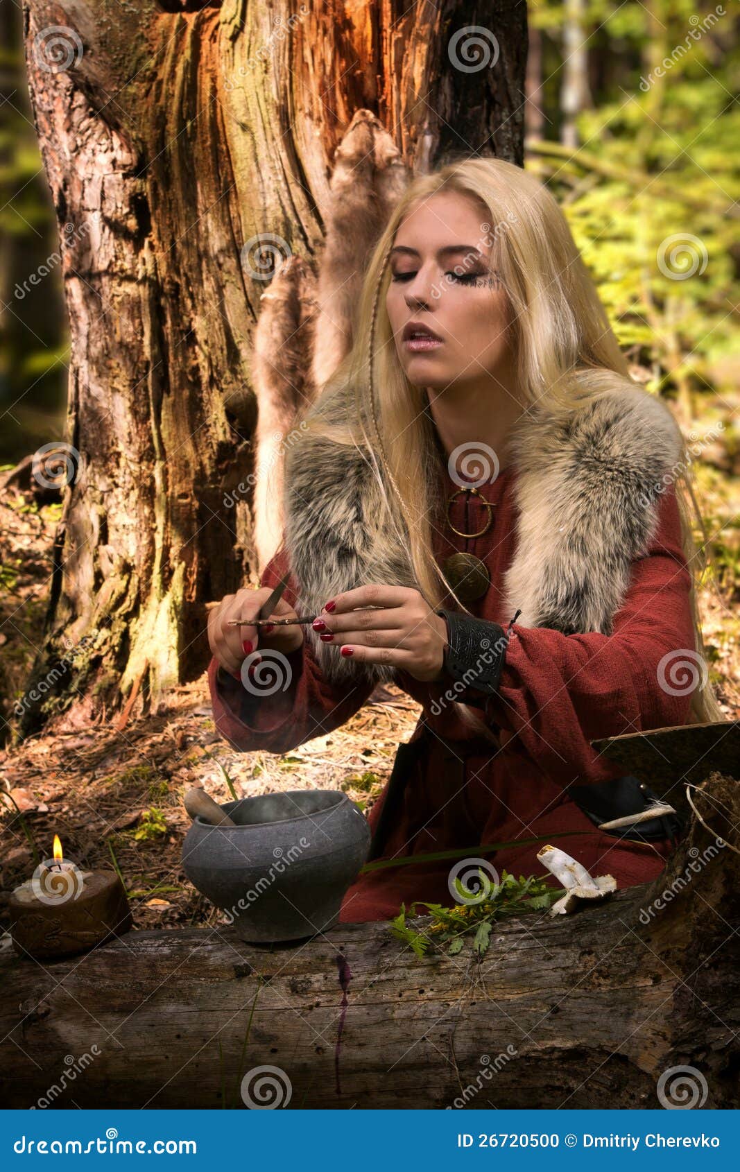 Scandinavian Witch Pythoness Cooking Potion Stock Photo - Image of ...