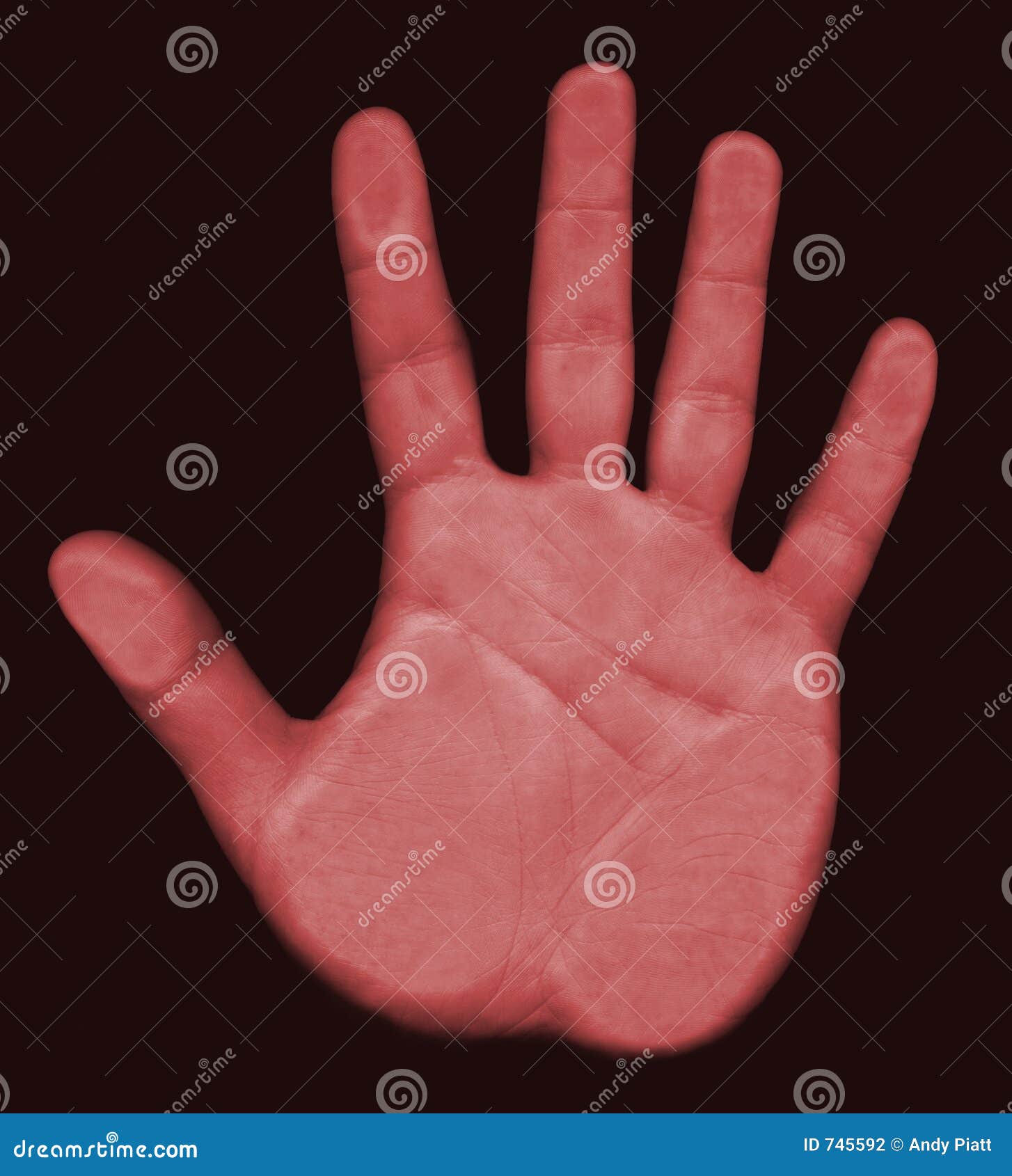 scanning hand biometrics