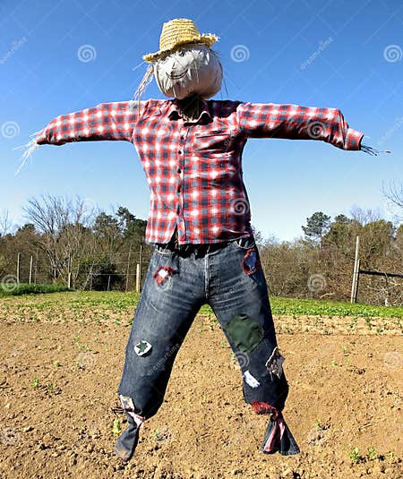 Scarecrow stock image. Image of forest, farm, cute, field - 8832019