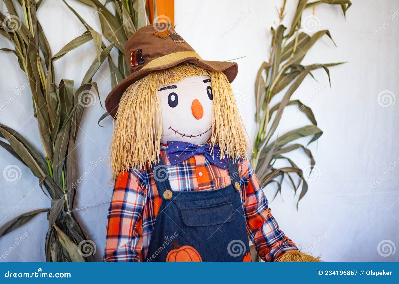 One Scarecrow Straw Stuffed with Hat Sitting Near the Corn Stock Image