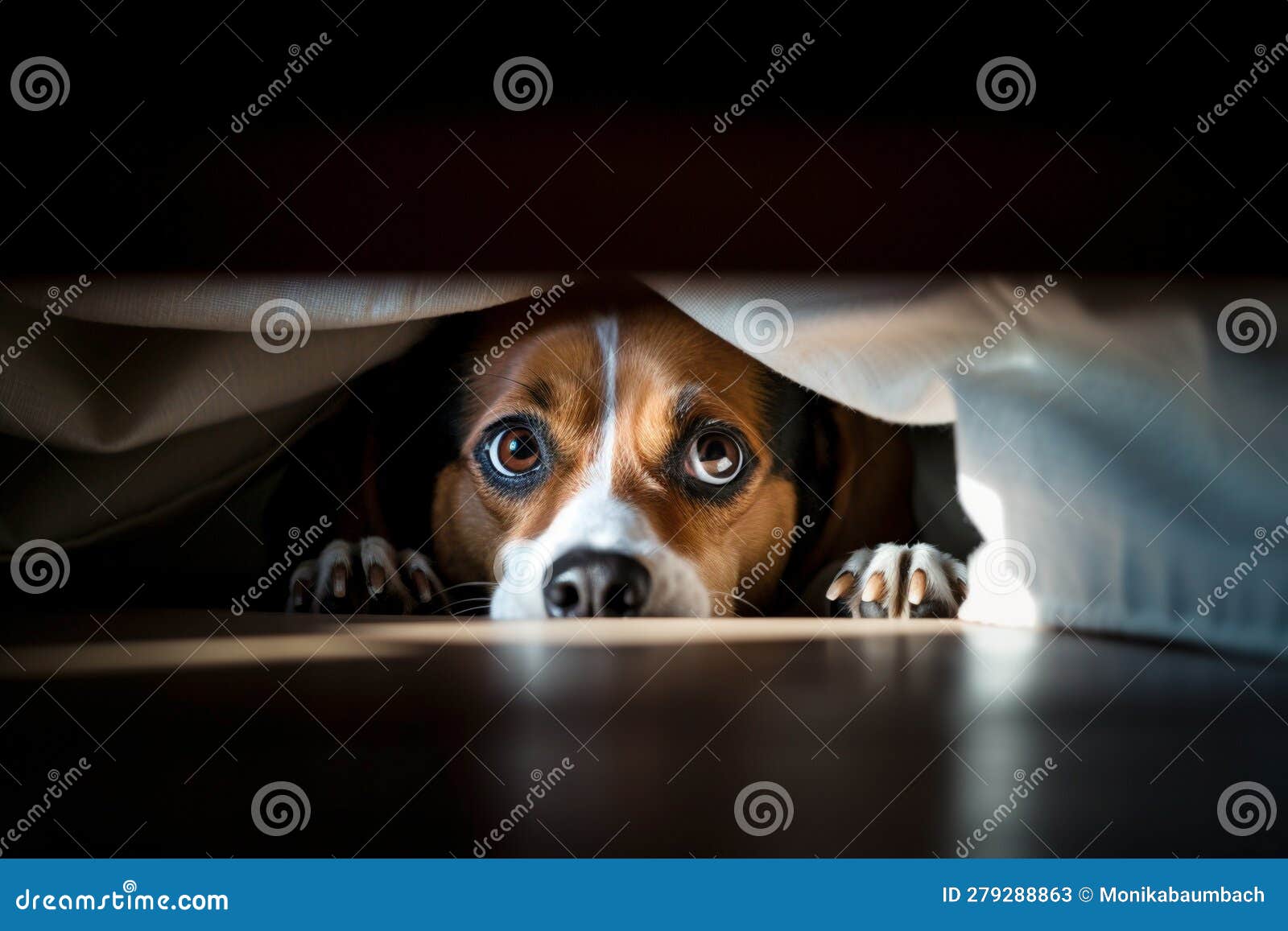 Scared Dog Hiding Under Bed. Generative AI Stock Illustration