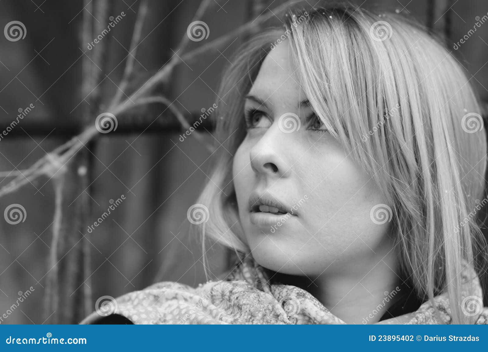 Scared Surprised Woman by the Ironbarred Stock Photo Image of