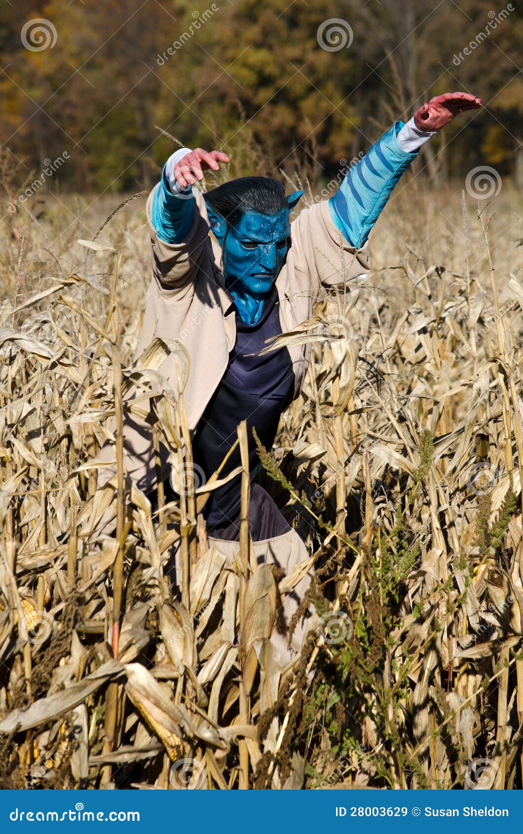 Scary Corn Monster Royalty Free Stock Images Image 28003629