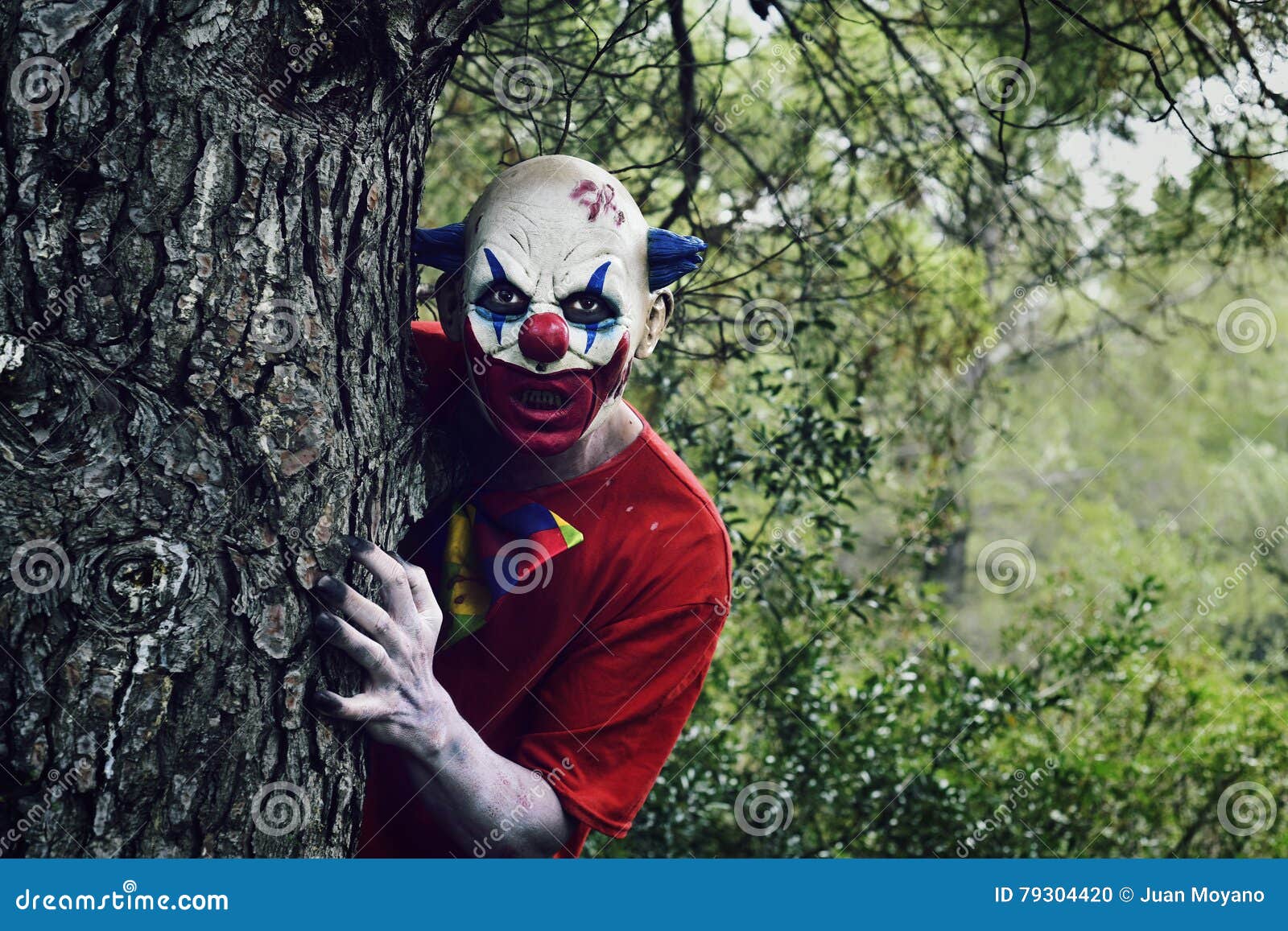ligning præmedicinering Databasen Scary Evil Clown in the Woods Stock Photo - Image of holiday, evil: 79304420