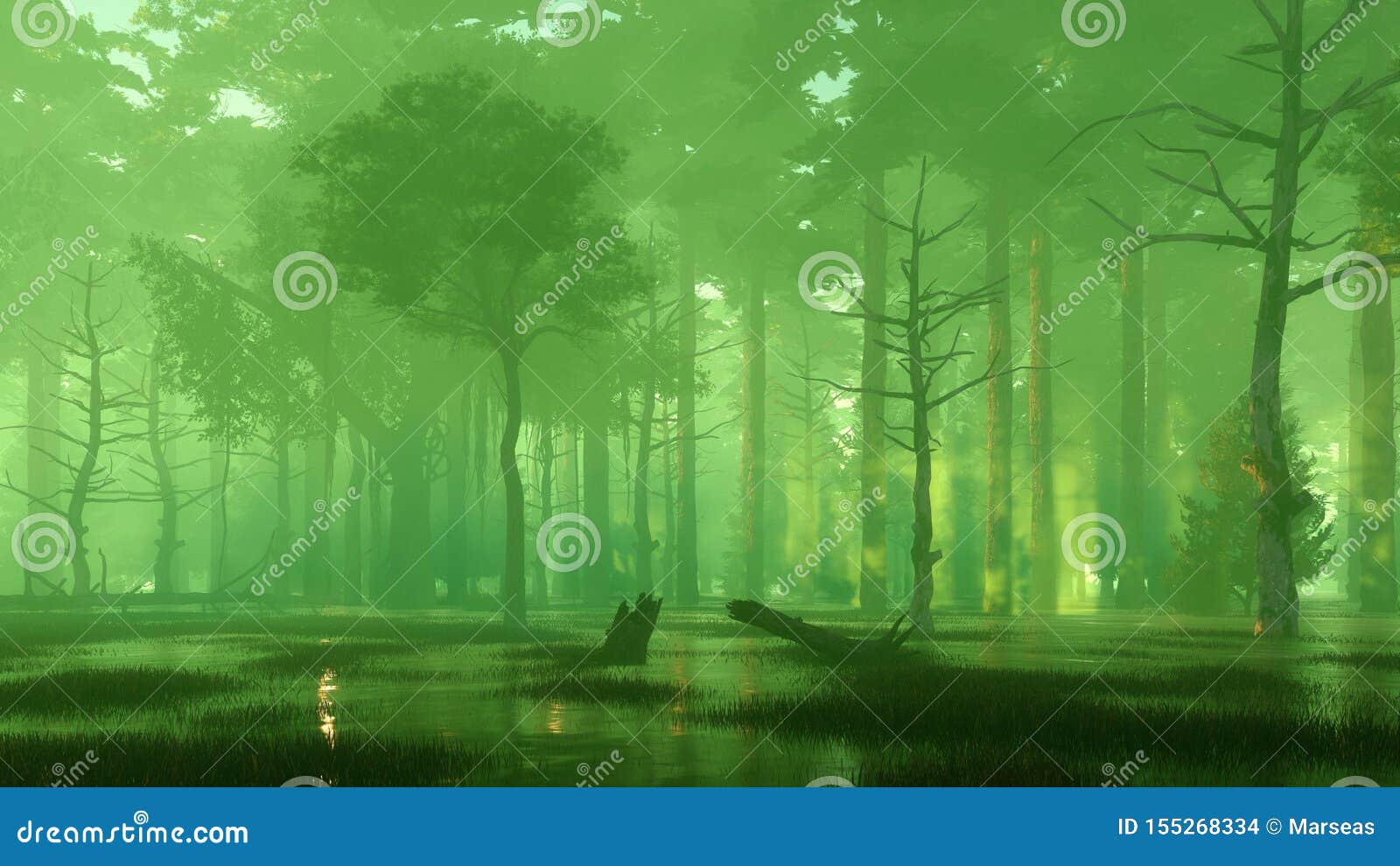 scary mysterious forest swamp at misty night