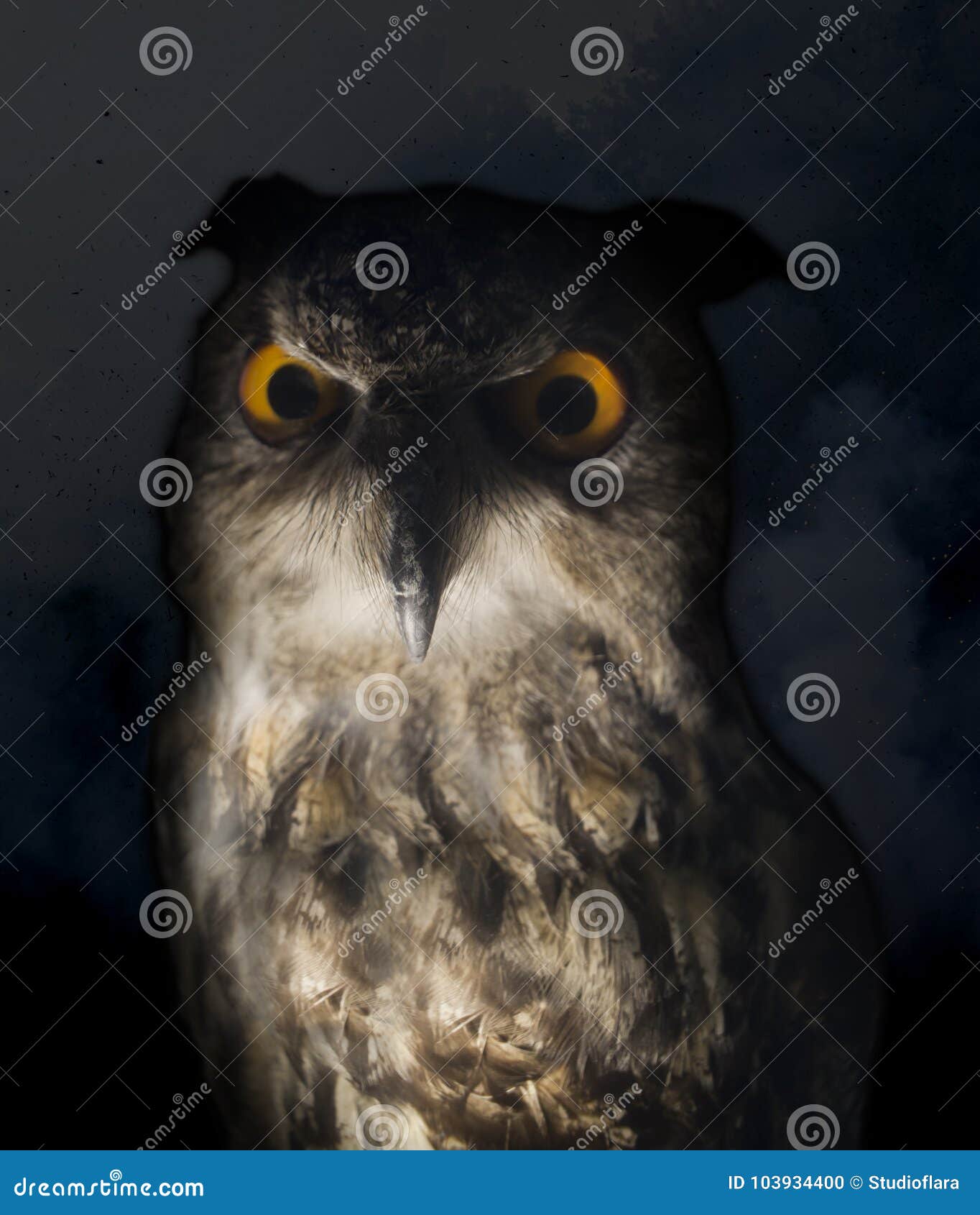 Scary owl in the night stock photo. Image of night, demon - 103934400, image size:1364x1690