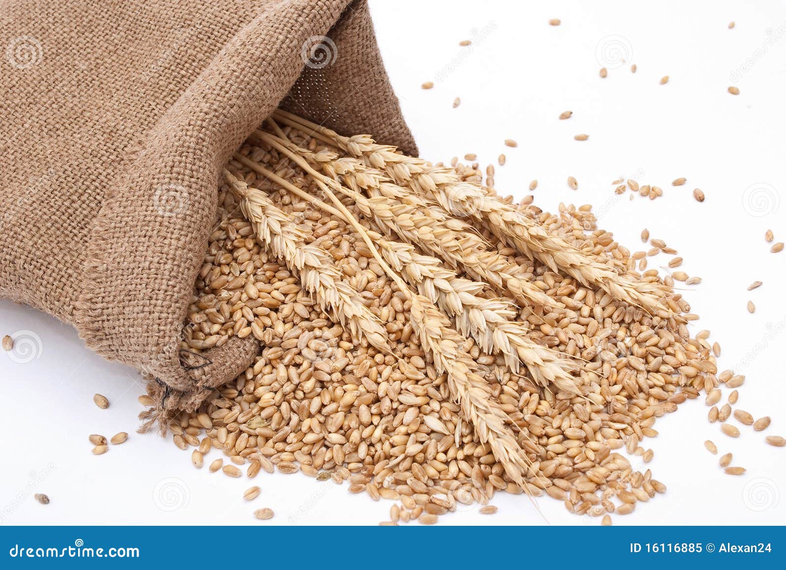 The Scattered Bag With Wheat Of A Grain Royalty Free Stock Photo