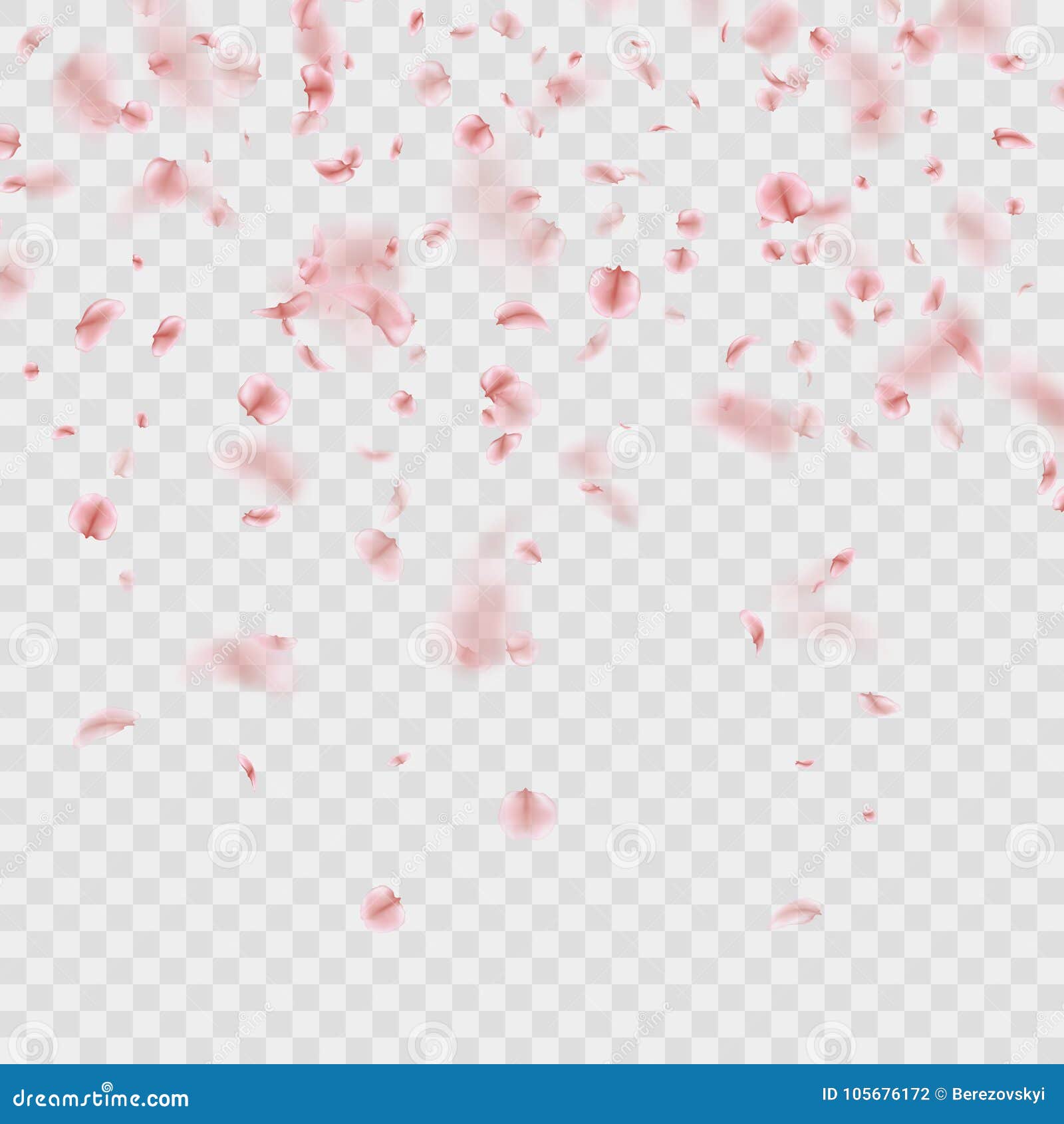 scattered sakura petals on transparent background. eps 10 