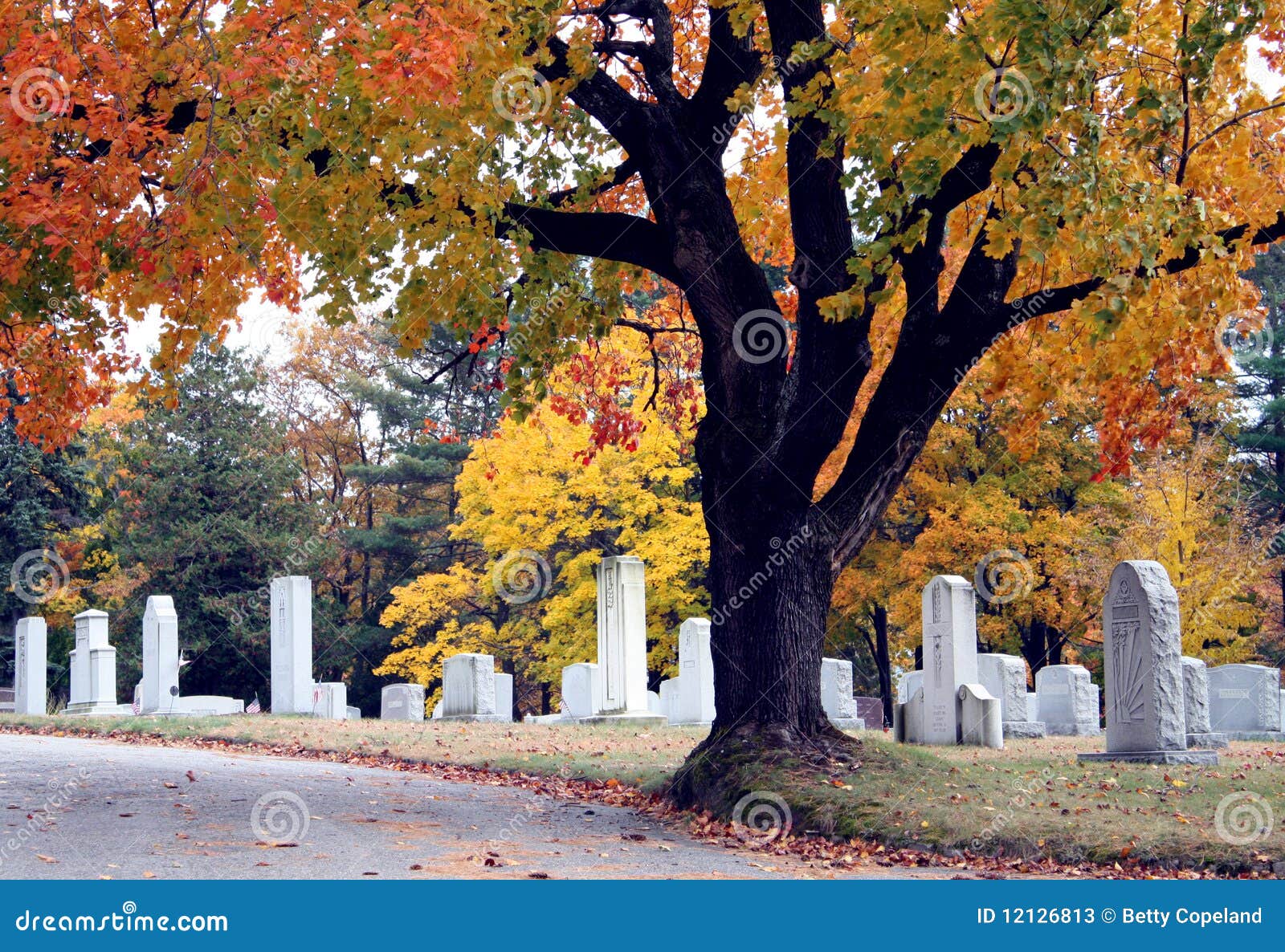 Scena del cimitero di caduta. Alberi con il fogliame di caduta variopinto in un cimitero con parecchi vecchi headstones